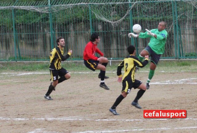 101031_Tiger 245x_tn.jpg